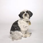 maggiewhereyouat profile picture