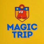 magictriporlando profile picture