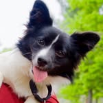 maglee_photography profile picture