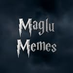 maglumemes profile picture