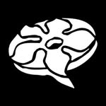 magnoliapics profile picture