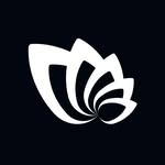 magnolio.uy profile picture