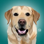 magnusthetherapydog profile picture