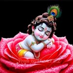 mahapatra8331 profile picture