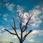 mahipalphotopedia profile picture