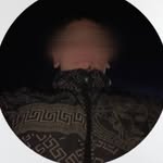 mahmoudbel6 profile picture