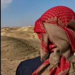 mahmoud__negm777 profile picture