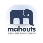 mahoutselephants profile picture