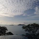 mainemainechu profile picture