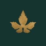 maisterbrewery profile picture