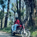 majeed_meh profile picture
