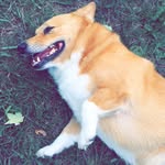makspice profile picture