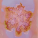 malcelata profile picture