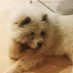 malek.hachicha.902 profile picture