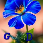 malekirshad45 profile picture