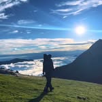 malikaaqibjavid profile picture