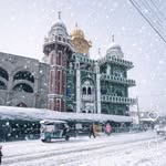 malkitzira1122 profile picture