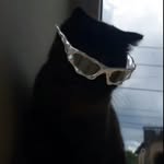 malstatic profile picture