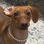 maltainnyc profile picture