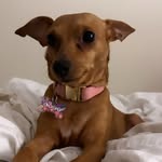 mama.lulu5 profile picture