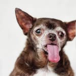 mama.nutmeg profile picture