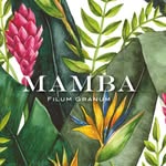 mamba_oficial profile picture