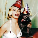 mamievandoren profile picture
