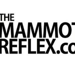 mammoth_reflex_photomagazine profile picture