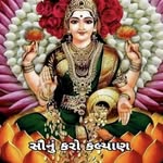 mamta558844 profile picture
