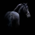 man.inder__ profile picture