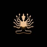 mandaladisco profile picture