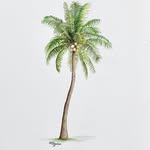 mandalay_designs profile picture