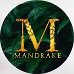 mandrakemiami profile picture