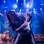 mandy_meyer_guitar profile picture