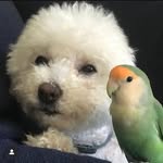 mangoandbella57 profile picture
