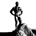 manimalism66 profile picture