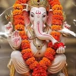 manish.ahuja.3551380 profile picture