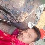 manish_s9569 profile picture