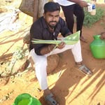 manitrnl profile picture