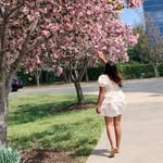 manjusha_merrory profile picture