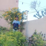 manojjoshi9172 profile picture