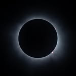 manolomosquerah profile picture