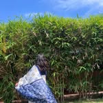 manpreet_saroye1 profile picture