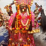 mansi_sharma_pb29 profile picture