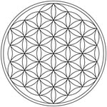 mantrasdeluz profile picture