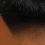 manuelzuniga profile picture