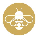 manukadr profile picture