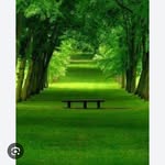 manvya__queen__ profile picture