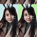 maomaoxiaoying profile picture