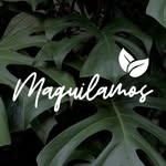 maquilamos.col profile picture